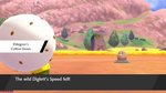 Pokémon Shield - Switch Screen