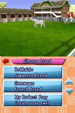 Pony Friends - DS/DSi Screen