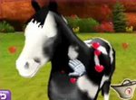 Pony Friends 2 - DS/DSi Screen