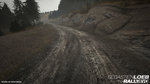 Sébastien Loeb Rally Evo: Day One Edition - PC Screen