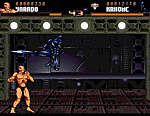 Shadow Fighter - Amiga Screen