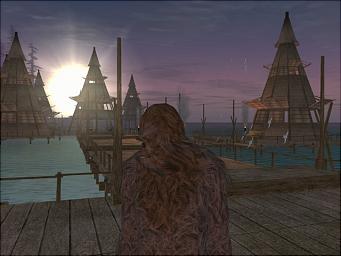 Star Wars Galaxies: An Empire Divided - PC Screen