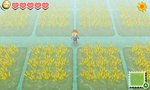 Story of Seasons - 3DS/2DS Screen