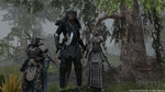 The Elder Scrolls: Online - PS4 Screen