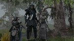 The Elder Scrolls: Online - PC Screen