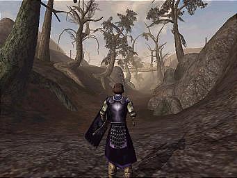 Elder Scrolls III: Morrowind Gold Pack - PC Screen