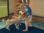 The Sims 2: Pets - PS2 Screen