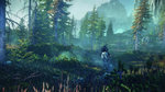 The Witcher 3: Wild Hunt - PC Screen
