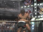 UFC: Throwdown - PS2 Screen