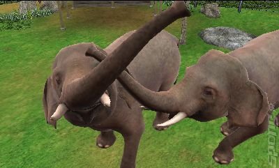 Zoo Resort 3D - 3DS/2DS Screen