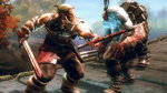 VIKING: Battle For Asgard - PS3 Screen