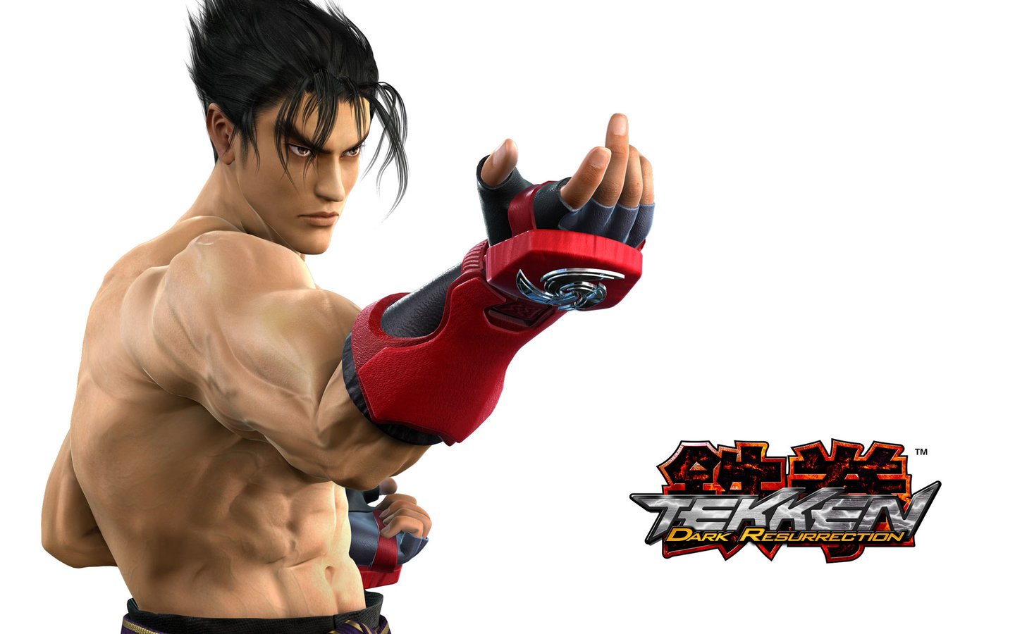 Tekken: Dark Resurrection - PS3 Wallpaper